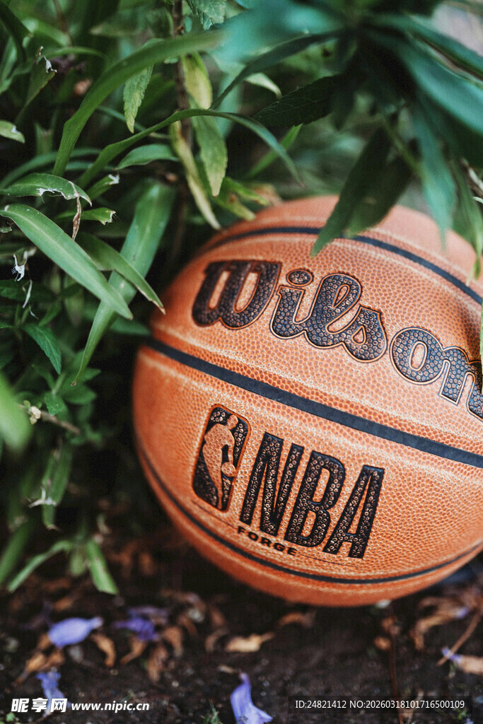 草地上的威尔逊NBA篮球