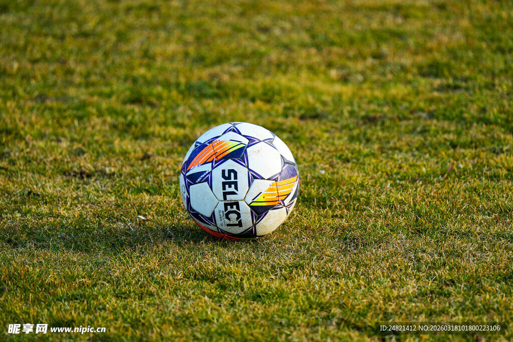 绿茵上的多彩足球