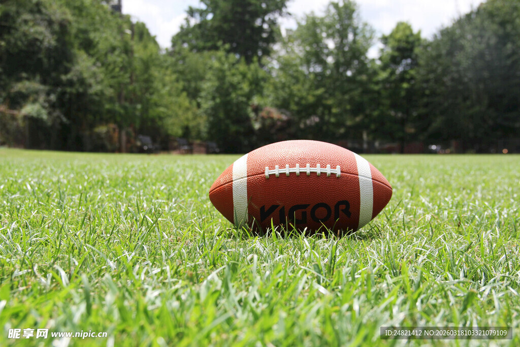 草地上的橄榄球