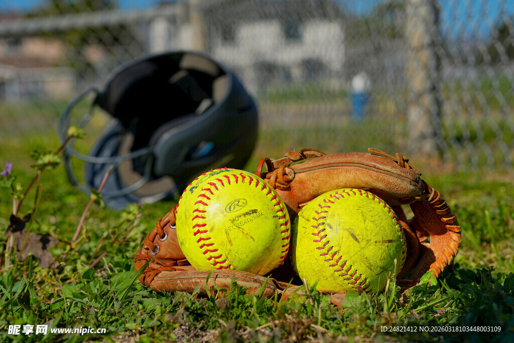草地上的垒球与手套