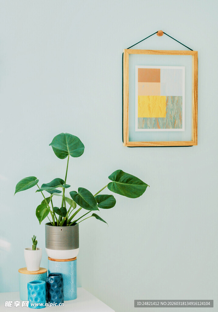 简约墙面装饰与绿植摆件