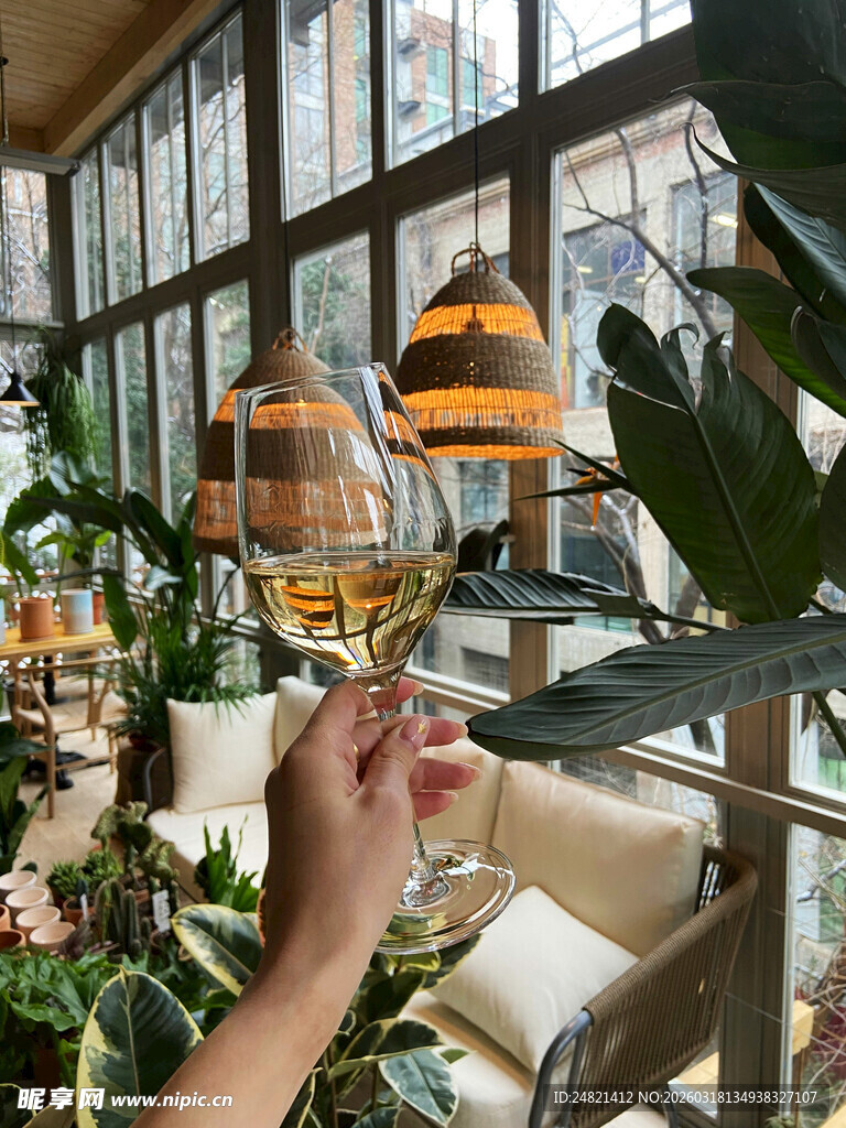 室内绿植环绕的惬意品酒时刻