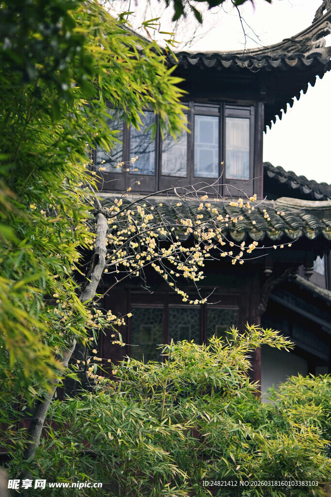 古建隐于葱郁绿树间