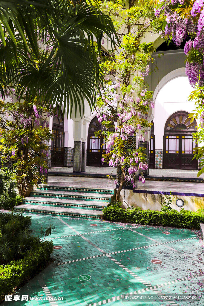 梦幻庭院中的翠绿水景