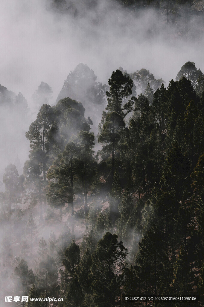 山林间弥漫的缥缈雾气