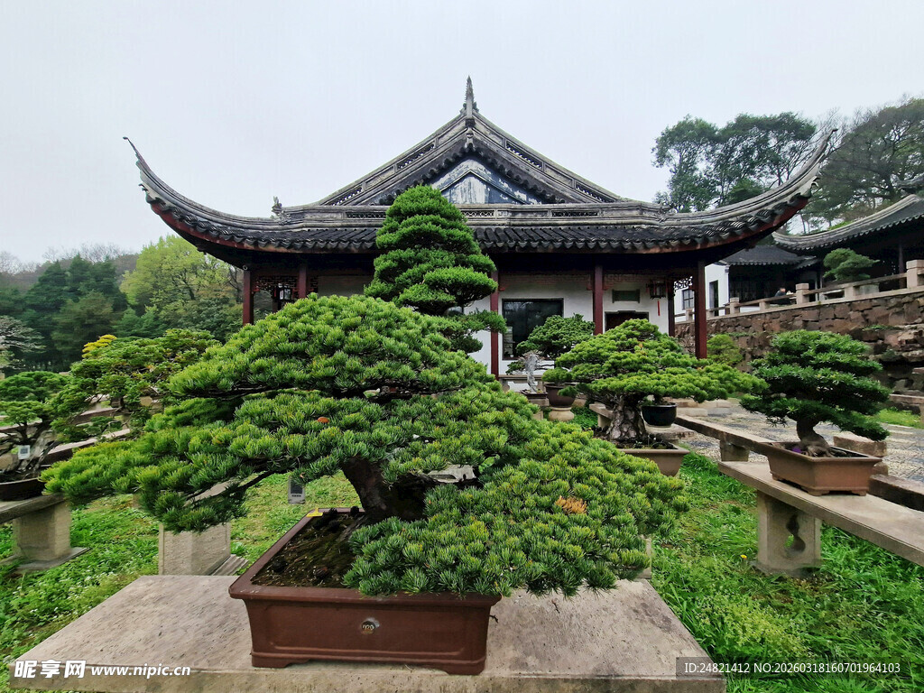 中式庭院盆景景观