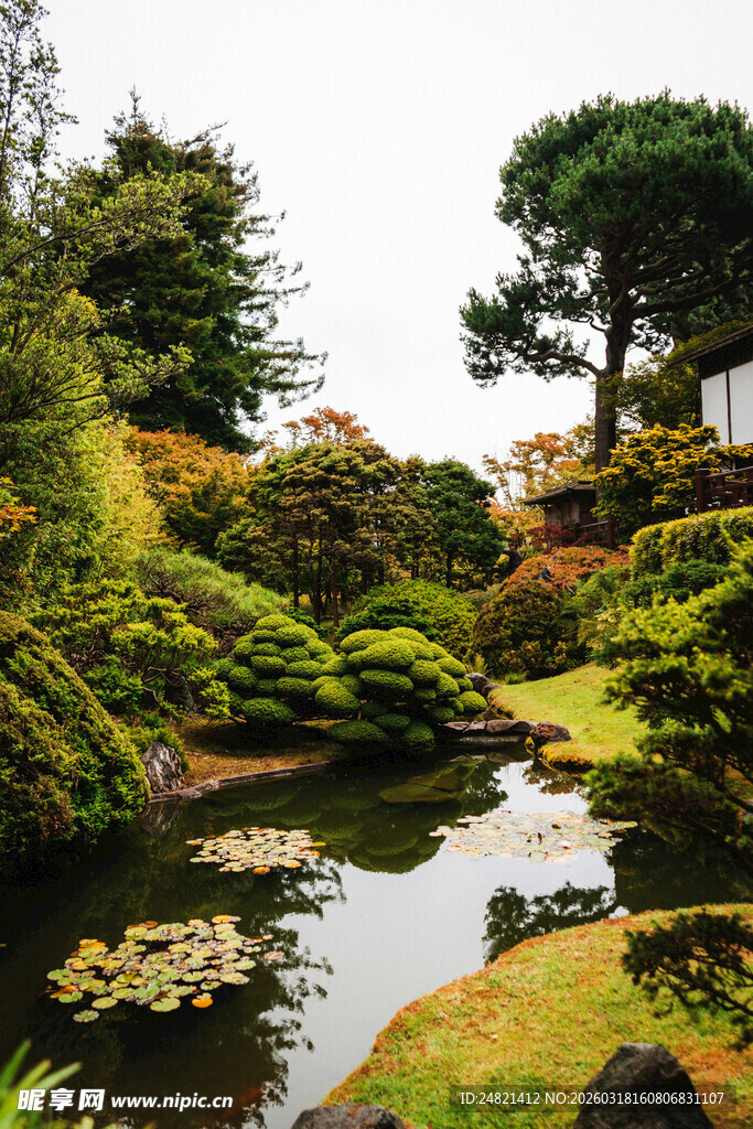 日式园林景观中的静谧池塘
