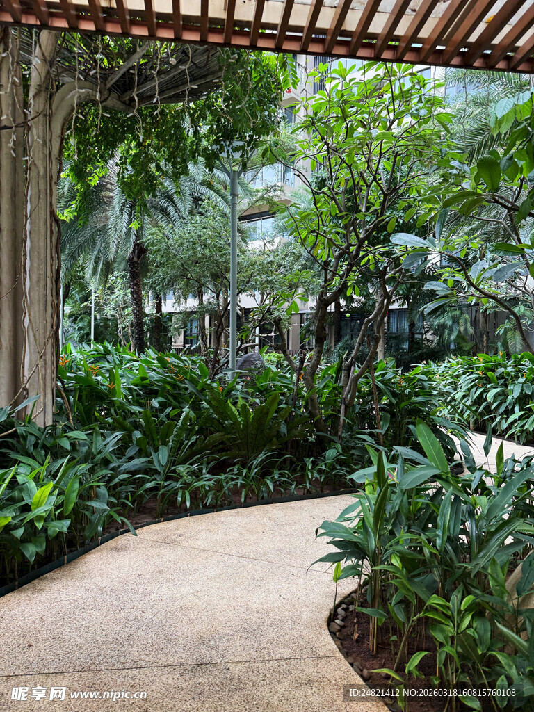 庭院绿植环绕的幽静小径