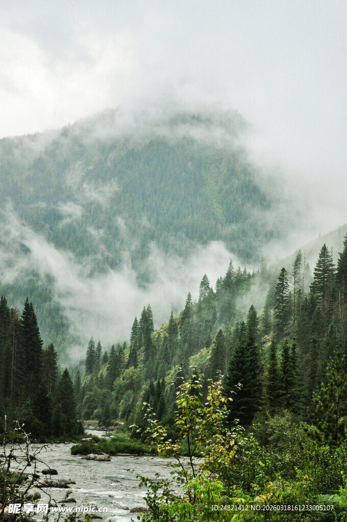 山间云雾缭绕的森林河流