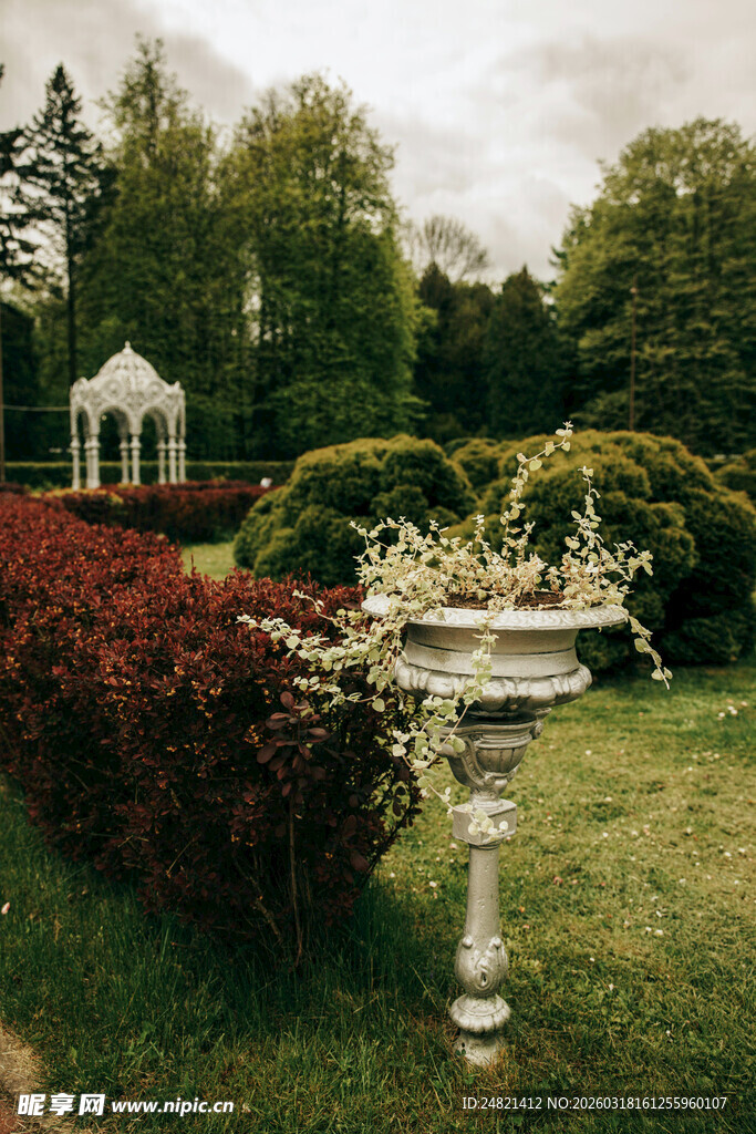 花园中的精致喷泉景观