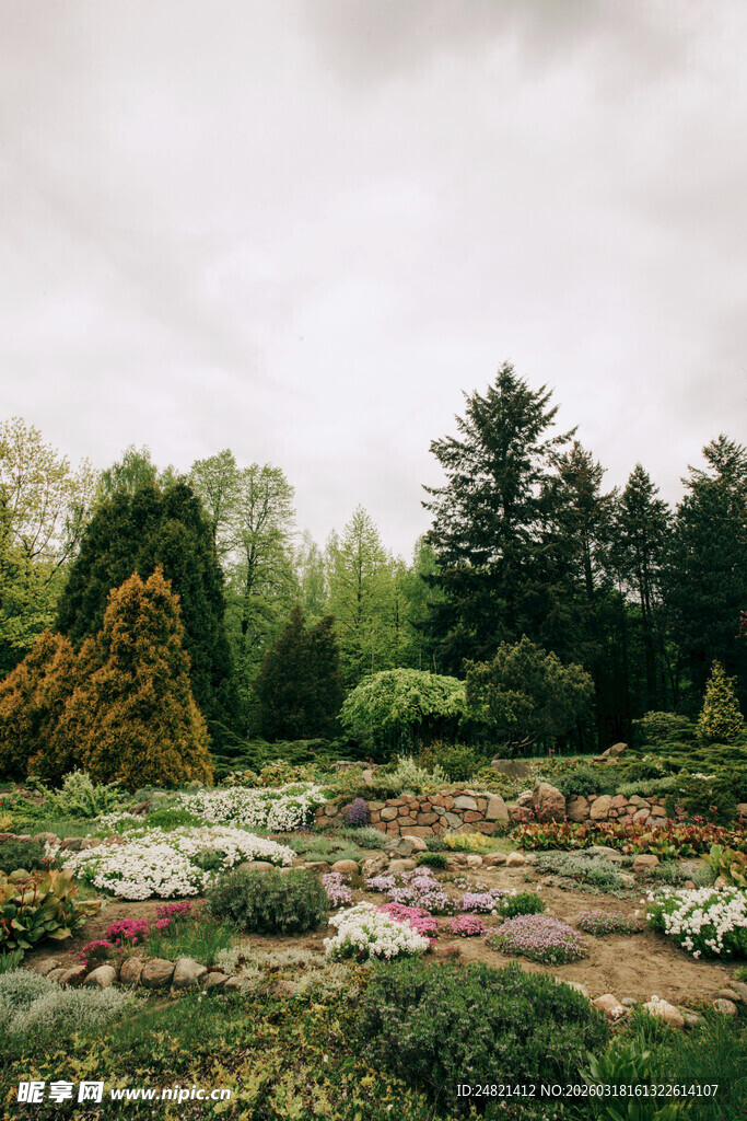 春日繁花似锦的美丽花园