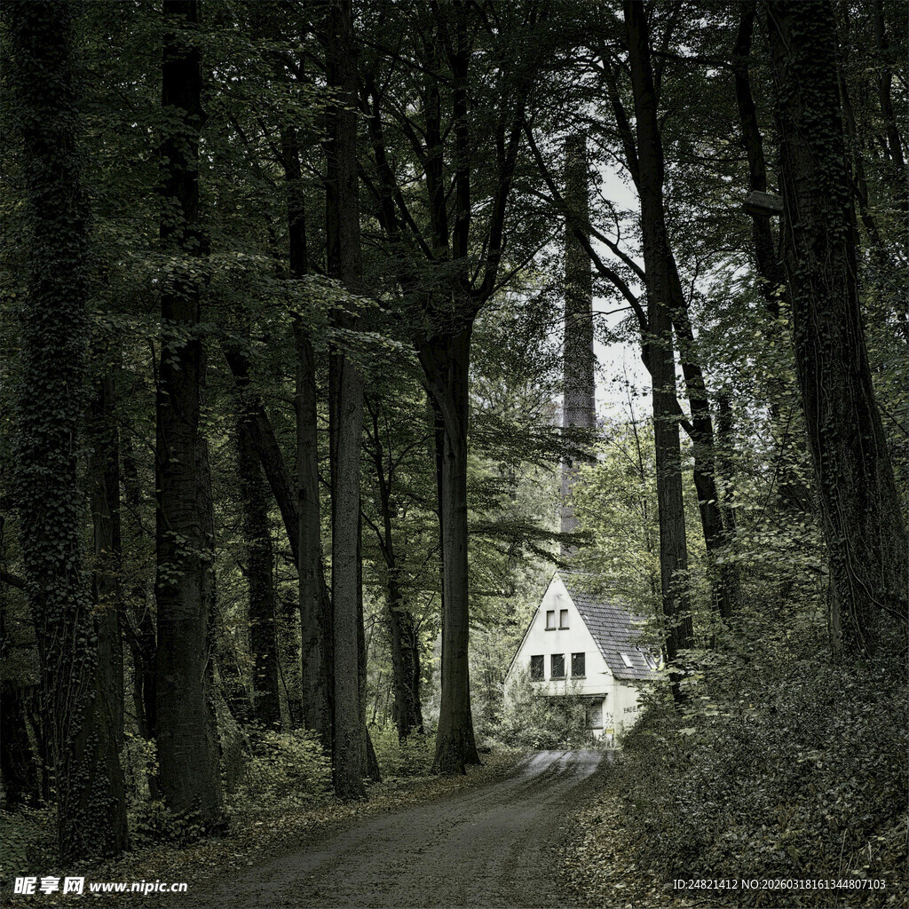 林间小道尽头的白色小屋