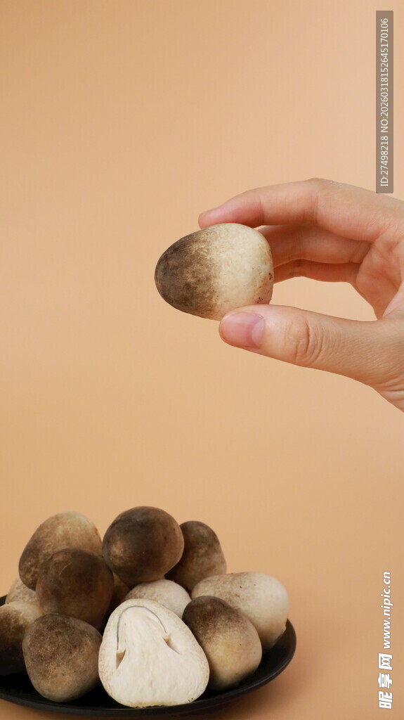 手拿新鲜蘑菇草菇