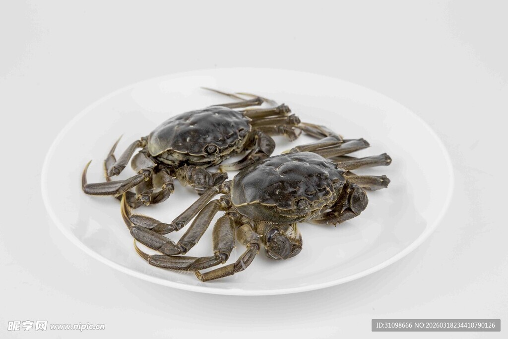 盘中鲜活螃蟹