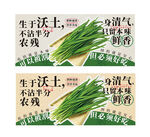 韭菜海报创意超市农贸蔬菜设计