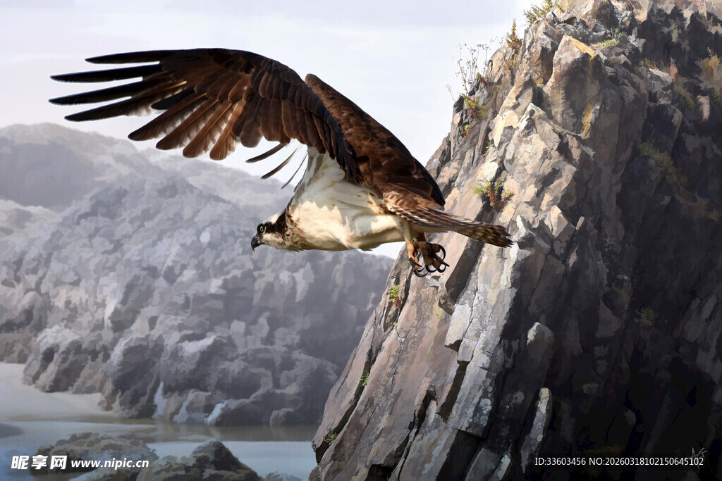 悬崖边展翅的雄鹰