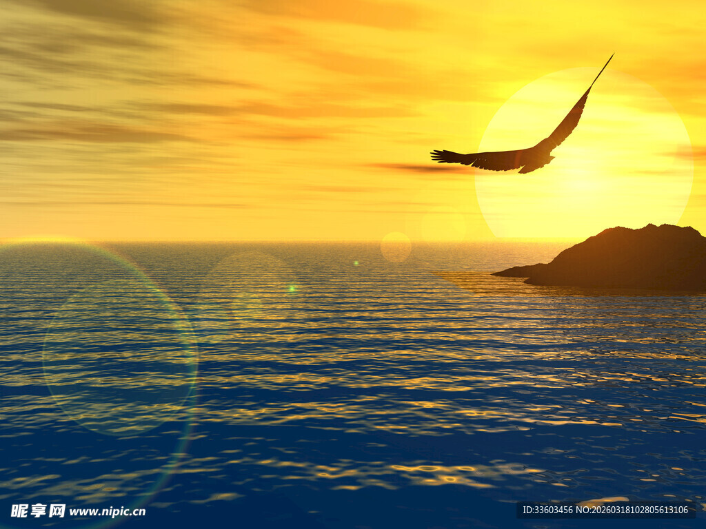 夕阳下海面飞鸟翱翔美景