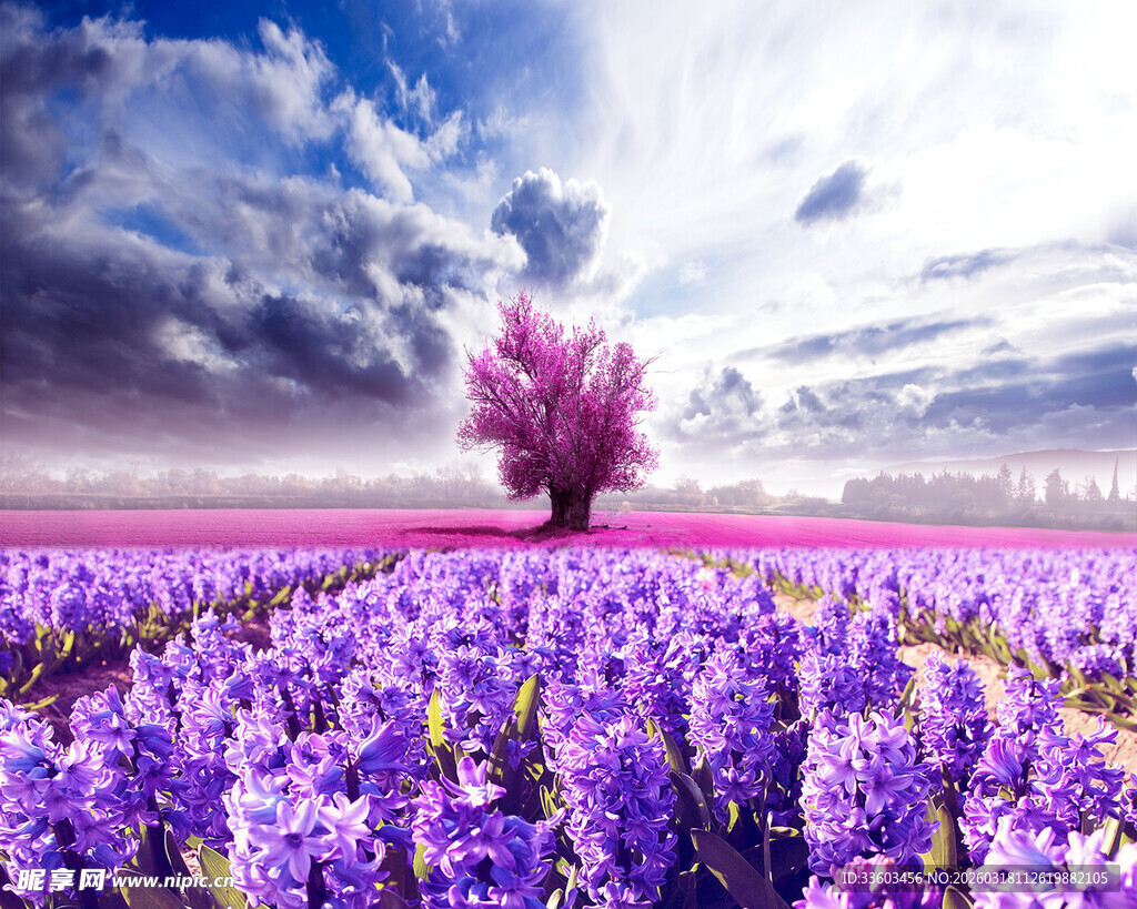 紫色花海中的孤独粉树
