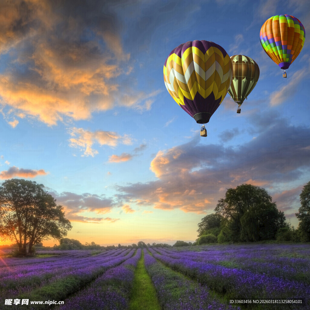 薰衣草田上的热气球美景
