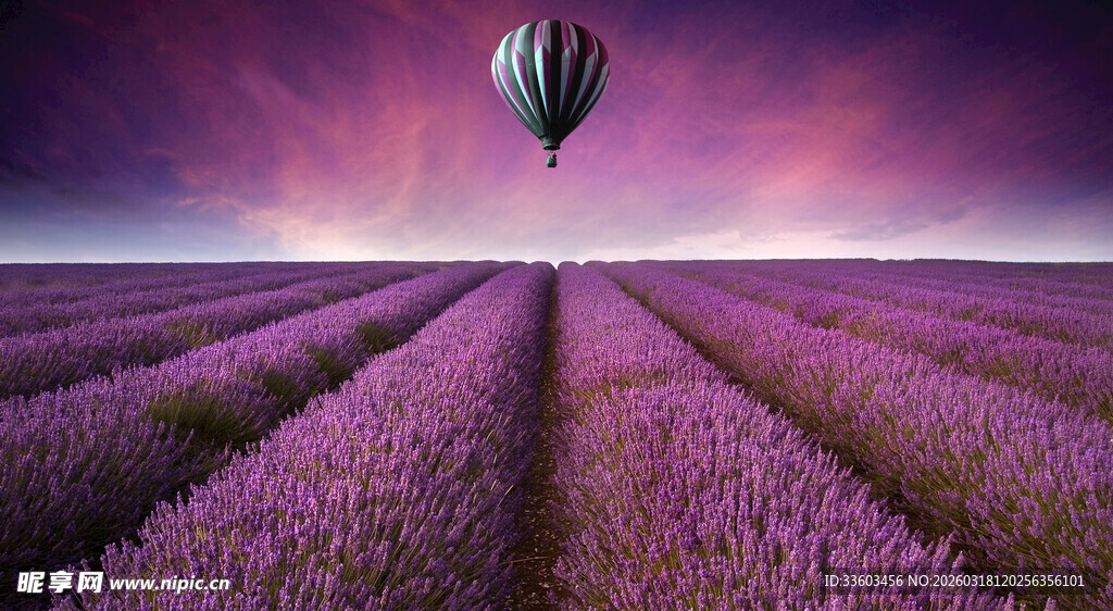 梦幻薰衣草田上的热气球
