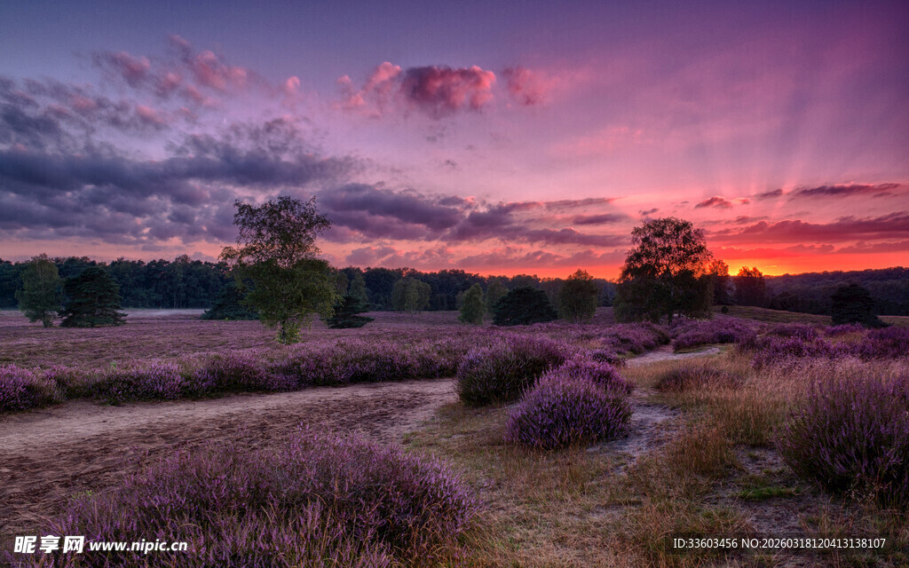 日落时分的旷野美景