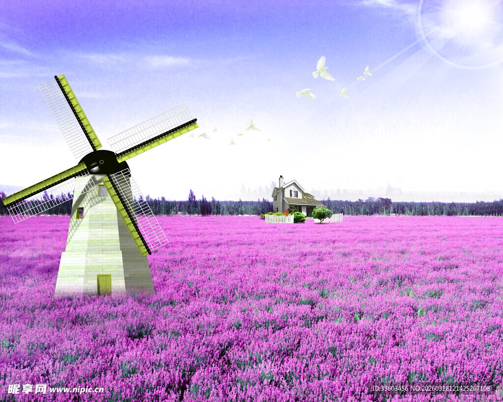 紫色花田中的风车美景
