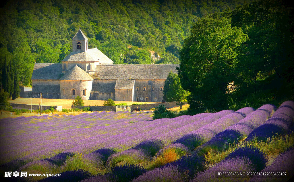 紫色薰衣草田中的优雅建筑