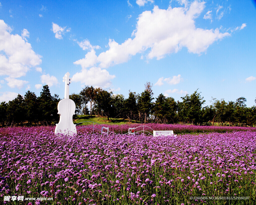 紫色花海中的白色雕塑