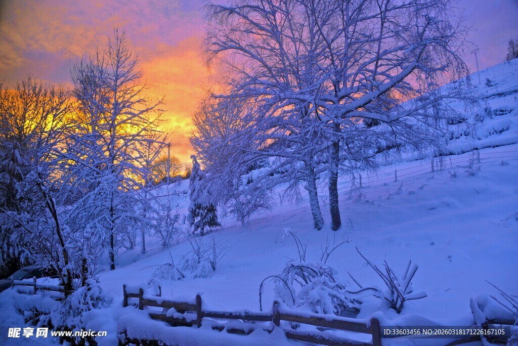 冬日雪后夕阳下的静谧景致