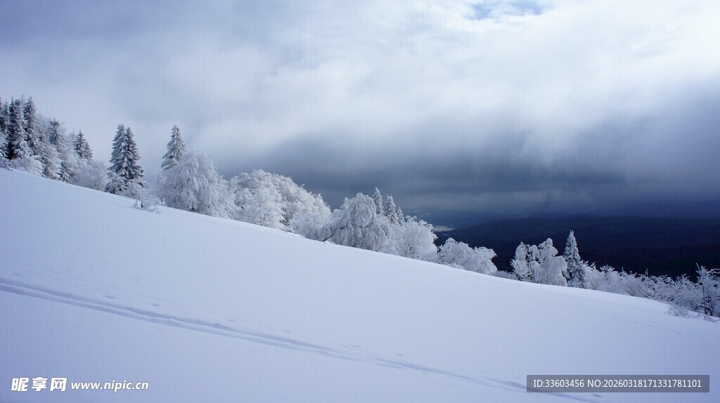 雪覆山坡