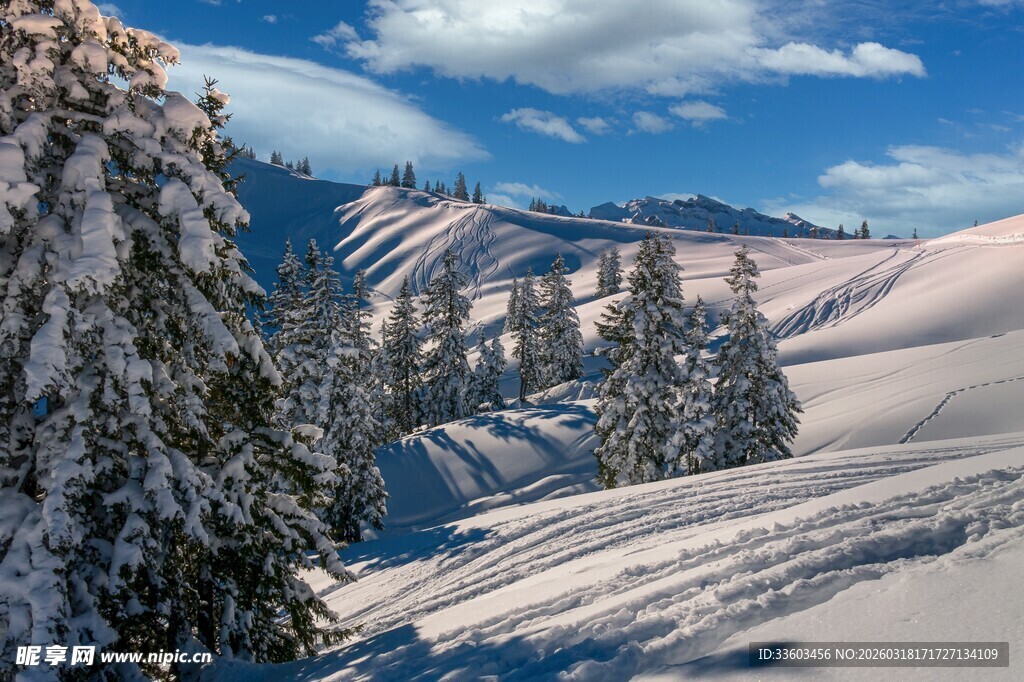 雪覆山林的冬日壮美景观