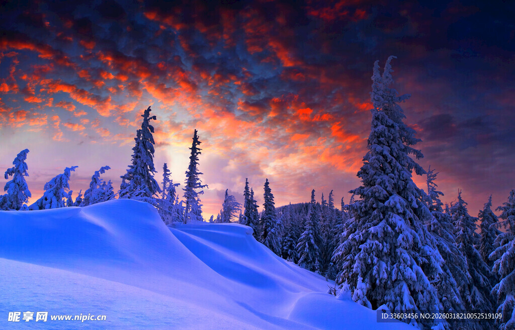 雪岭夕阳下的静谧森林