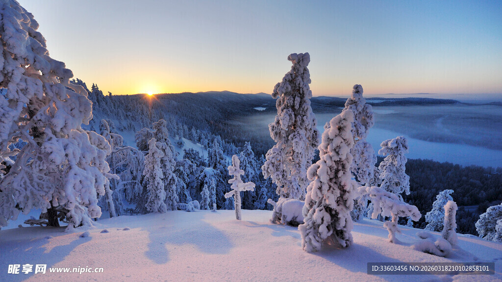 冬日雪林日落美景