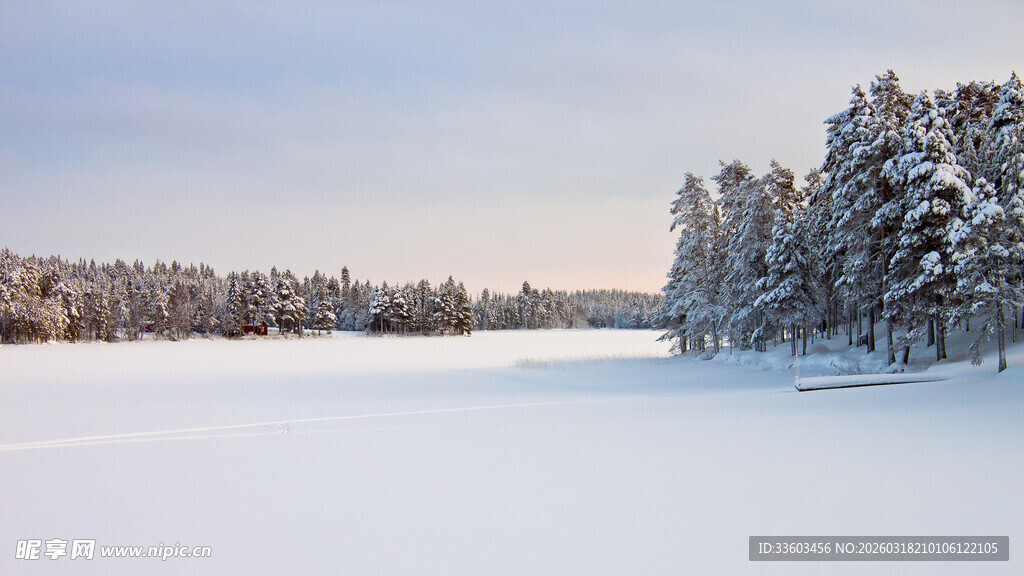 冬日雪覆湖泊与树林美景