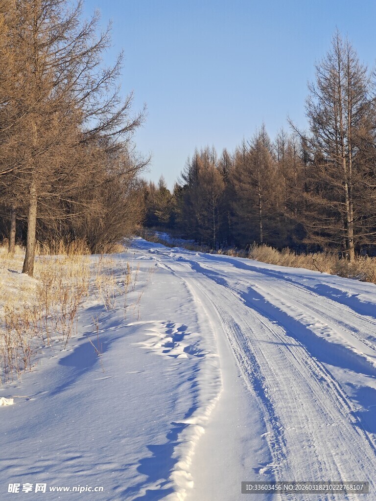 冬日雪覆林间路