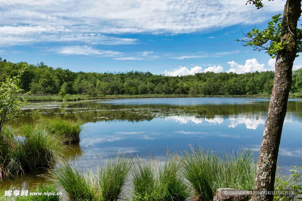 湖畔自然风光美景