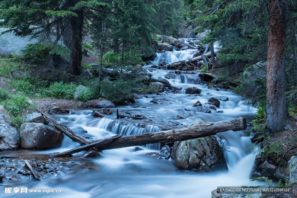 山间溪流与横卧树干美景