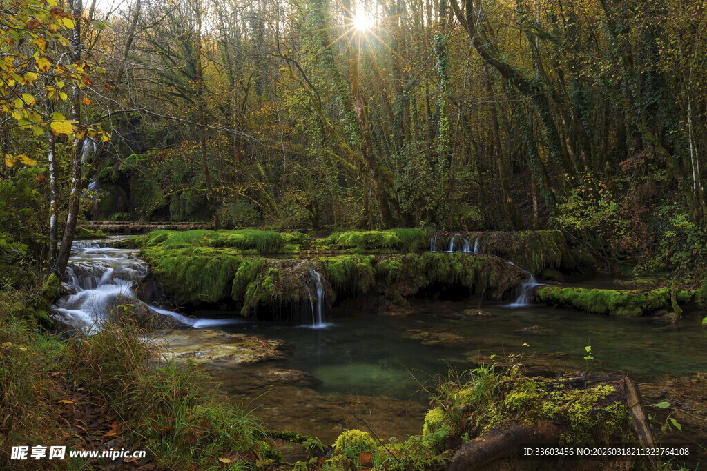 林间潺潺溪流风景图