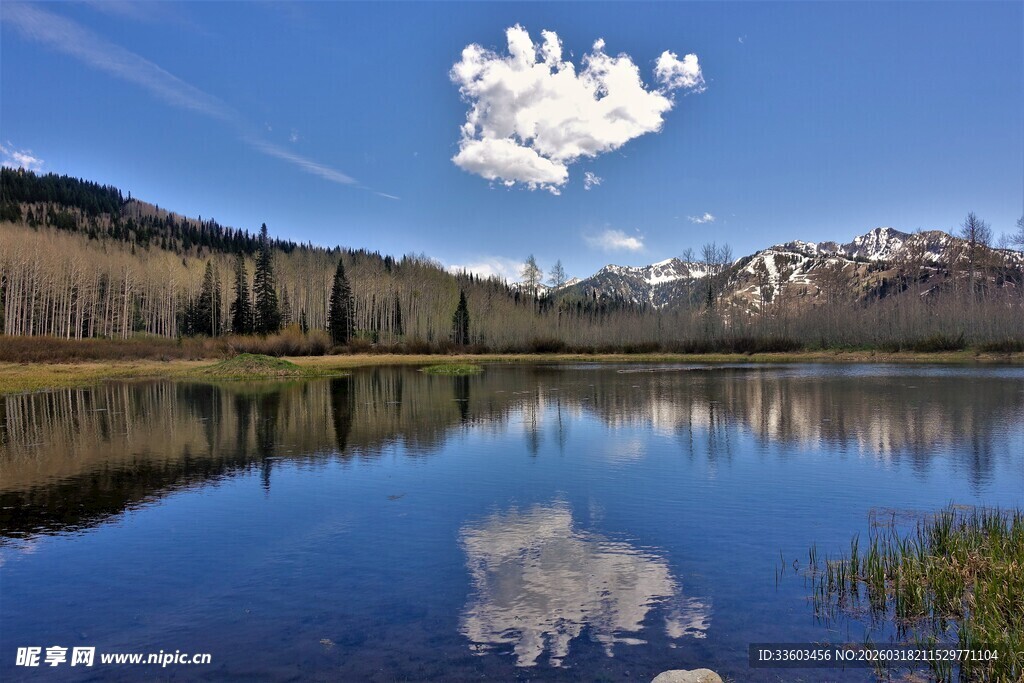 宁静湖畔的美丽风光