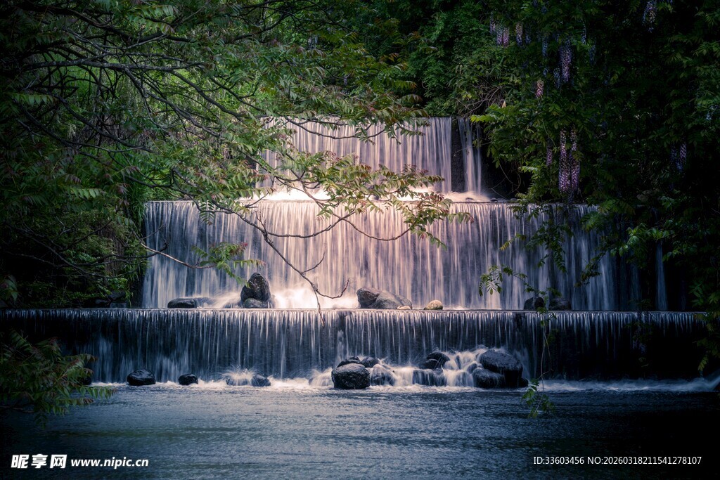 森林中的壮丽瀑布景观
