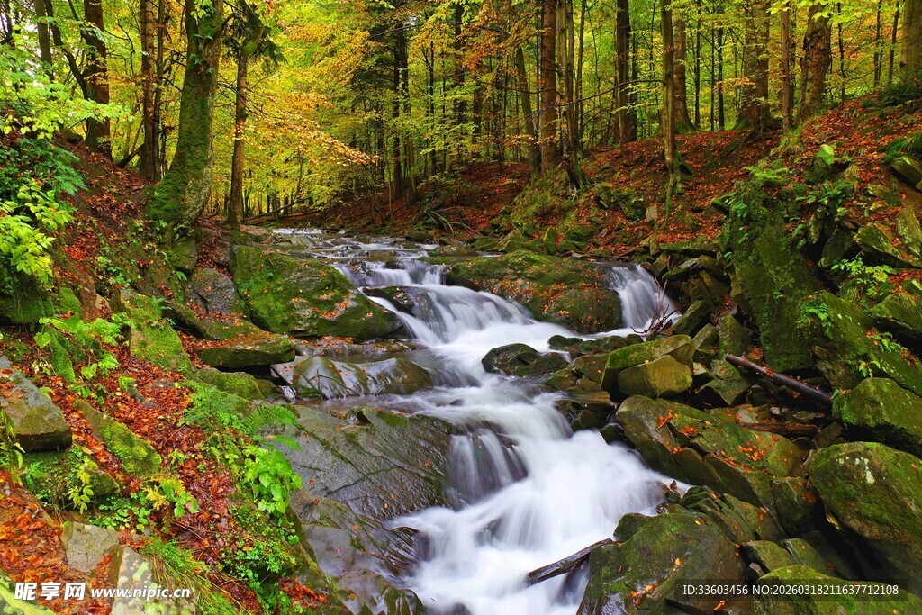 秋日山林中的潺潺溪流