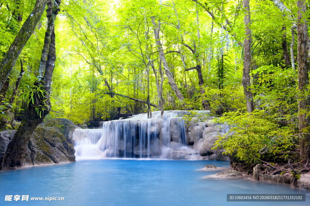森林中的清澈瀑布美景