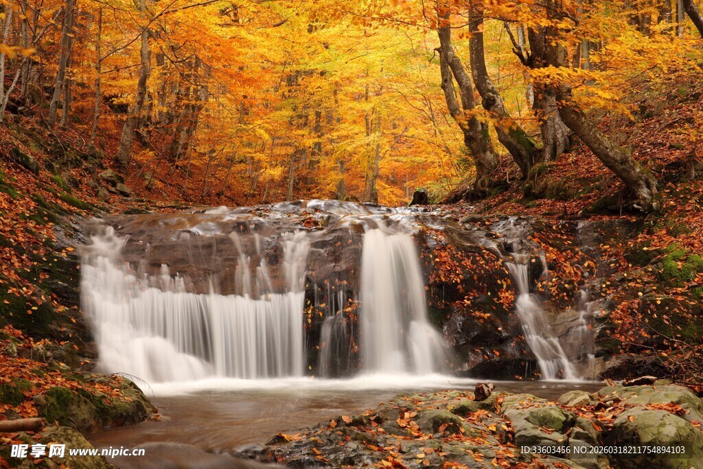 秋日森林中的美丽瀑布