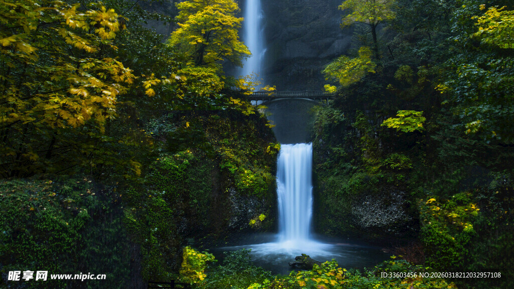 森林中的壮丽瀑布景观