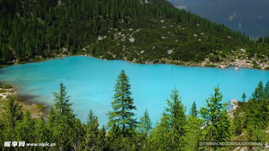 梦幻蓝湖旁的葱郁森林