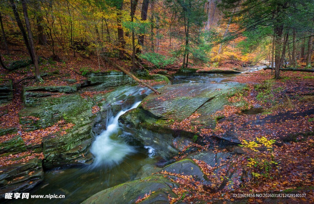 秋日林间溪流美景