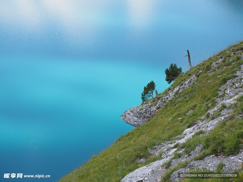 悬崖边的绿意与蓝天美景