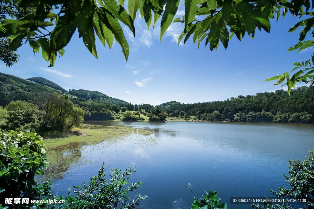 湖畔绿意盎然的秀丽风光