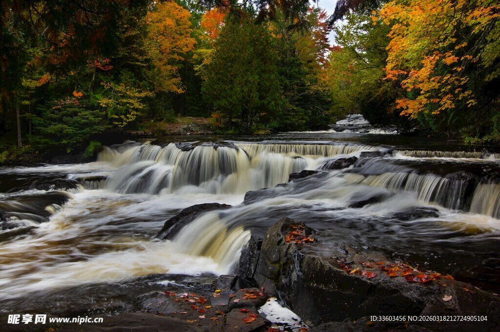 秋日山林中的湍急小瀑布