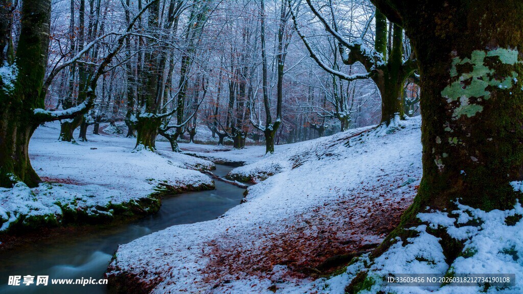 冬日雪覆森林溪流美景